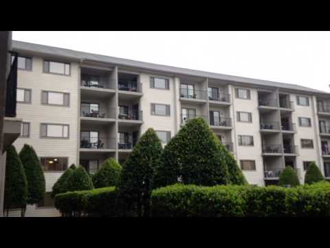 Bluegreen Laurel Crest resort room tour - Pigeon Forge, TN