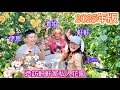 【私人花園2025年版】重量級人物都出現了❣️一同造訪軒軒玫瑰花園並敘舊(5/5)#rosegarden #バラ#Japan