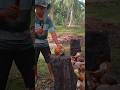 siapa saja bisa kerja kopra #kelapa