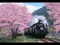 谷村新司&加山雄三「サライ」cover 葉月一平