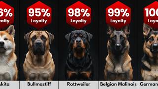 Dogs That Would Die For Their Owners