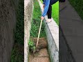 This long-handled hoe works very well #shortvideo #farming #youtubeshorts