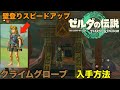 【ゼルダの伝説ティアーズオブザキングダム】クライムグローブ入手方法