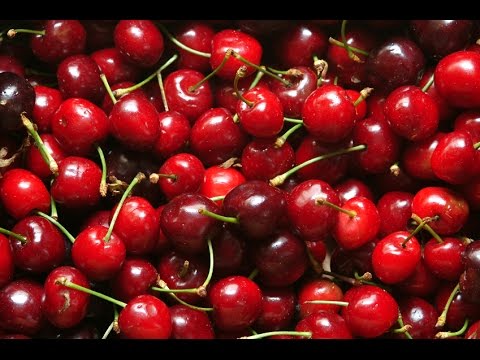 HomeHack: The BEST Way to Pit Cherries!