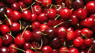 HomeHack: The BEST Way to Pit Cherries! Profile