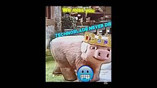 We miss you Technoblade😥 #edit #techno #technoblade #technobladeneverdies #technoblademinecraft