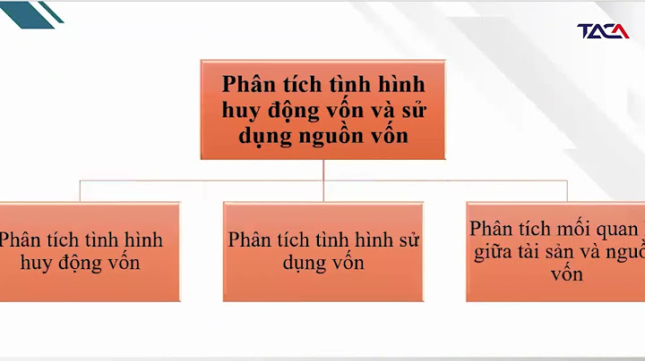 Phân tích so sánh ngang bảng cân đối kế toán năm 2024