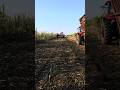 #caseih #automobile #farming #agriculture #youtubeshorts #shortvideo #welding #mechanic #learning