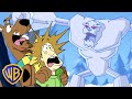 What&#39;s New, Scooby-Doo? | Ice Monsters🥶  | @wbkids​