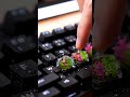 Macro Magic: Mini Aquarium Keyboard Keys Splash in 4K! #keyboard #macro #satisfying