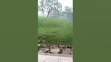 Mvua Kubwa Zaendelea Kunyesha Maeneo Mbalimbali Nchini Tanzania 