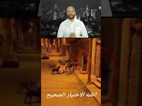 هل كان هذا اختيار صحيح للتعامل مع الكلاب الضالة          