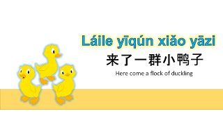 Here Come the Duckling - Laile Yiqun Xiao Yazi