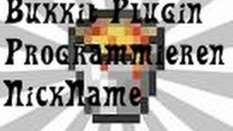 【Speed Coding】NickName Plugin 1.6.2