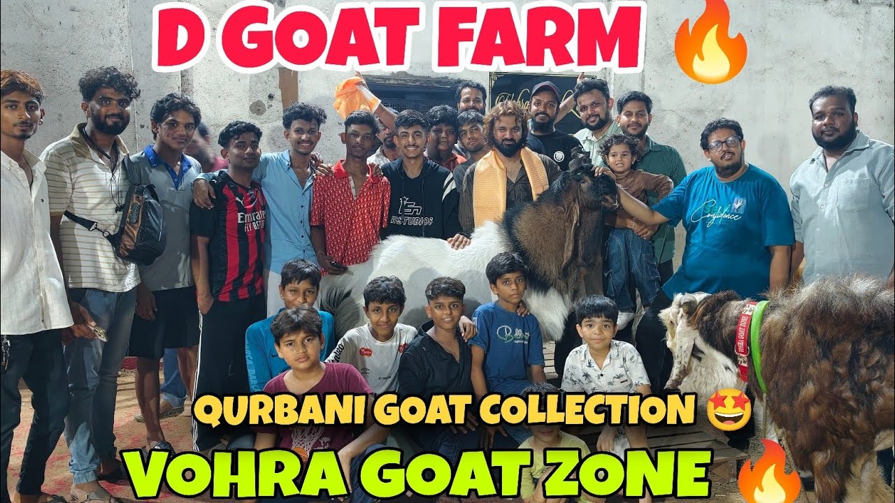 QURBANI GOAT COLLECTION OF VOHRA GOAT FARM 🤩 SPECIAL THANKS D