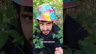 Türkiyede Arınma Gecesi