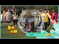 玩遊戲耍詐 演變現場大亂鬥超爆笑【飢餓遊戲】EP326_20230423精采預告