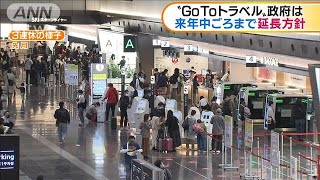 GoToトラベル　来年中ごろまで延長する方針(2020年12月3日)