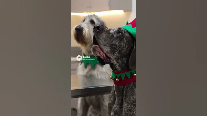 Christmas is for Good boys