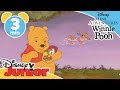 The Mini Adventures of Winnie the Pooh | Roo Goes Swimming | Disney Junior UK