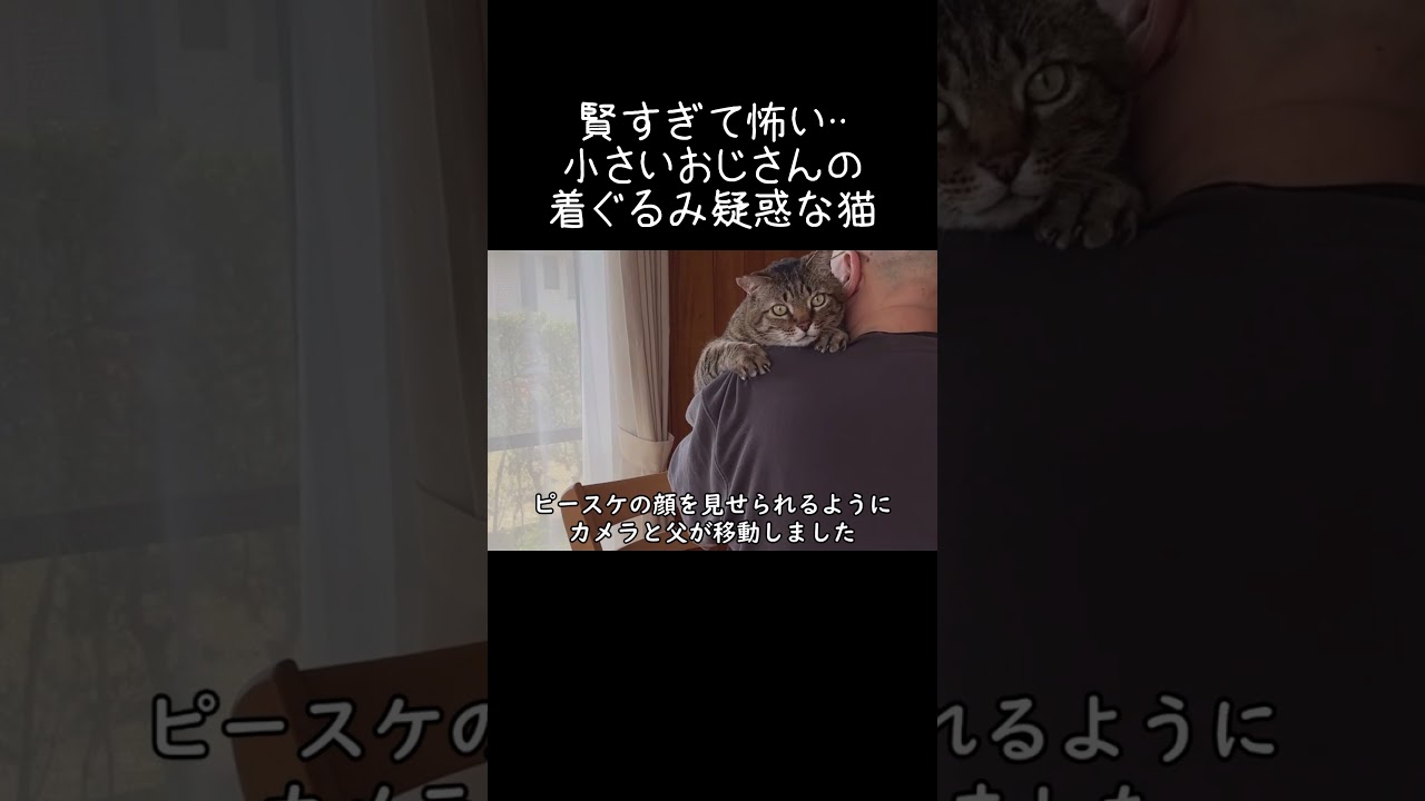 CRAPJOE Cat was Dead 野崎森男 野崎真助 CD Morio So smart it's scary A cat suspected of being a little old man