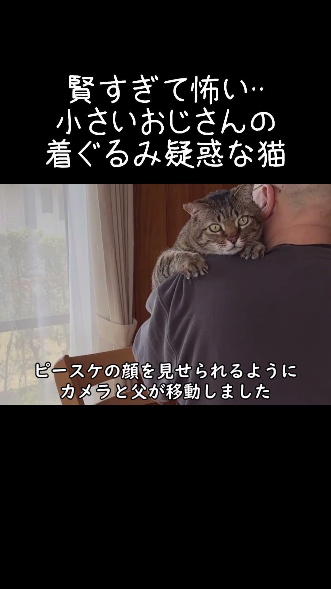 So smart it's scary A cat suspected of being a little old man