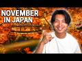 Japan in November 2025: Perfect Travel Guide