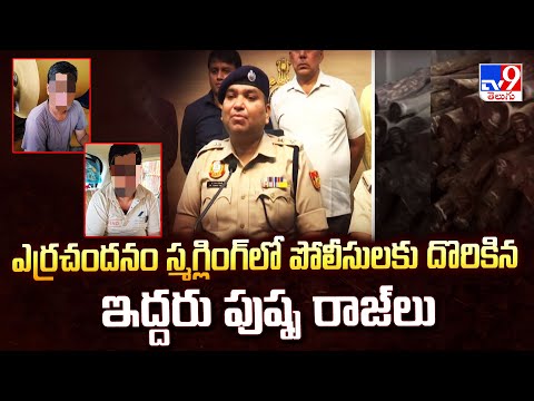 Delhi : ఎర్రచందనం స్మగ్లింగ్ లో పోలీసులకు దొరికిన ఇద్దరు పుష్ప రాజ్ లు - TV9 - TV9