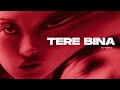 Tere Bina V EDIT Melodic House Techno Guru