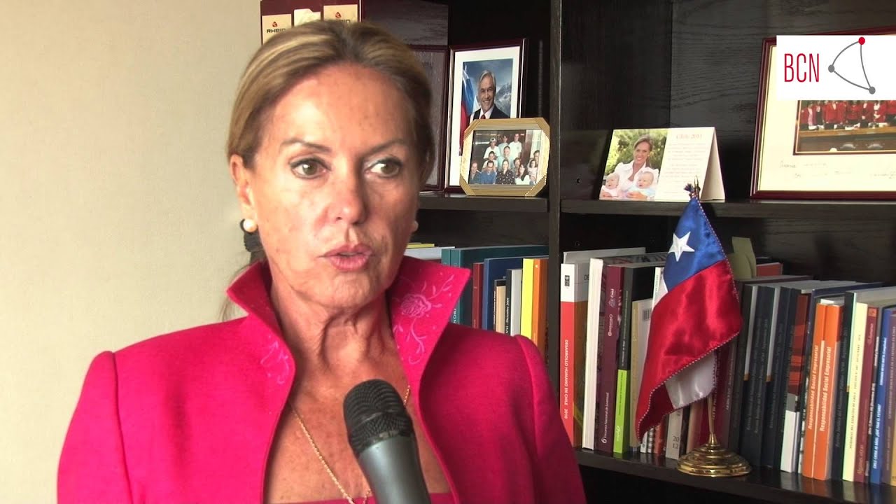 biblioteca laurenziana Diputada María Angélica Cristi (UDI) sobre venta de fuegos artificiales