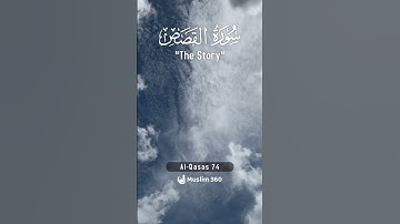 Surah Al-Qasas 74 | Hindi - Urdu Audio translation | سورة القصص #alqasas #hindi #urdu #viral