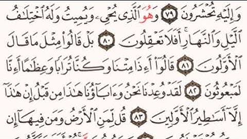 الصفحة رقم 347 الشيخ ماهر المعيقلي - القرآن الكريم - Quran