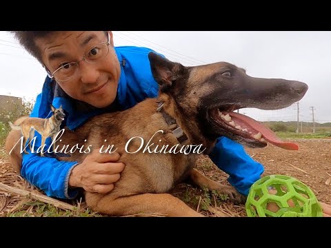 マリノアを初めて飼う方へ~最初に伝えたいことがあります。