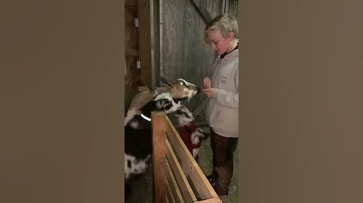 Gimme cooooookies