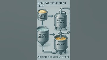 Chỉ Rayon Là Gì Và Nó Được Sản Xuất Như Thế Nào?