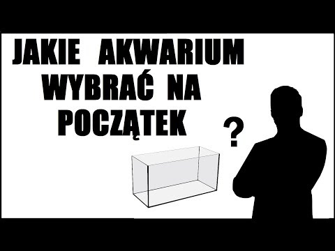 Wideo: Jak Wybrać Dobre Akwarium?