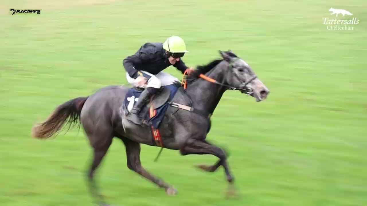 Delta Blues Belle winner of the 4yo mares maiden in Knockmullen House - Nov 10