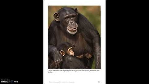 Skills Unit 2: Lesson 9