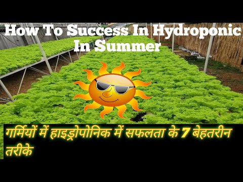 How To Success In Hydroponic in Summer! How To Down Temperature in Summer! Down Your Net House Temp.