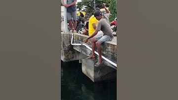 Resiko Mancing di Dermaga Kapal Yang Bikin Kesal #shorts #shortvideo #short #shortsvideo