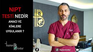 Taylan Bodur-3