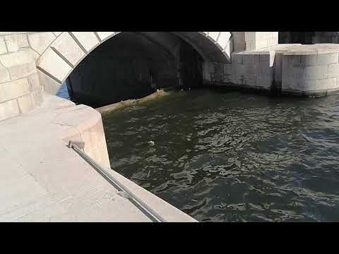 الهاويس و فتحات قناطر إدفينا النيل فرع رشيد 2020