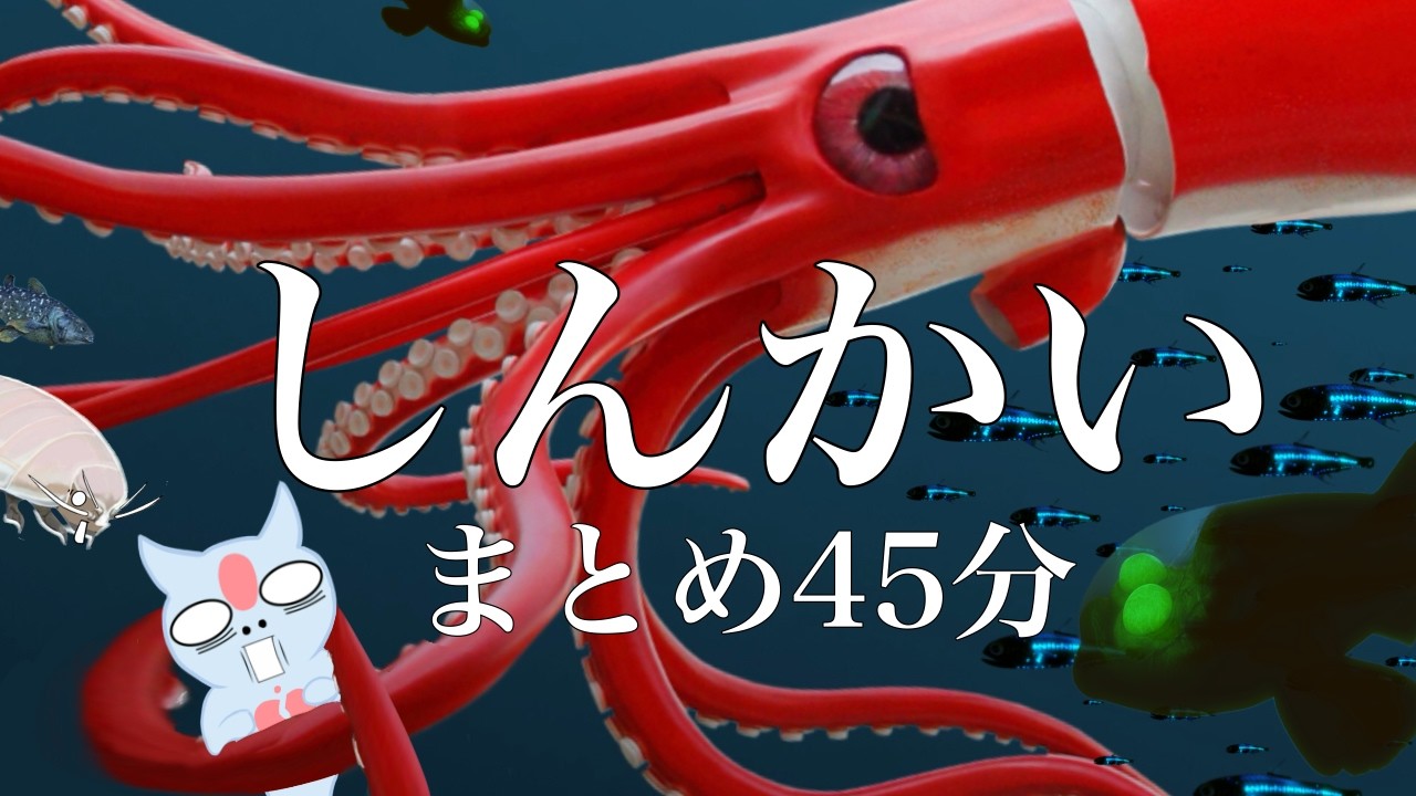 【長時間まとめ】深海生物クイズだよー♪