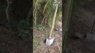 VID 20201228 WA0014