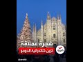 شجرة عملاقة تزين كاتدرائية الدومو في ميلان