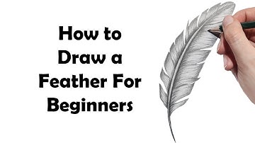 How To Draw a Realistic Feather Step By Step [FOR BEGINNERS]