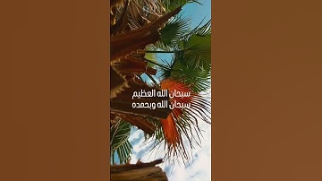 تلاوة الشيخ ماهر المعيقلي #التوبة #اكسبلور #يوتيوب #دويتو #quran #duet #اليوم #قران_كريم