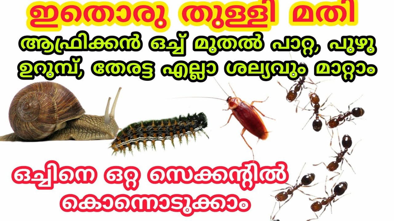 ഇതൊരു തുള്ളി മതി ഒച്ച്, ഈച്ച ,തേരട്ട , പാറ്റ ,പുഴു എല്ലാ ശല്യവും ...