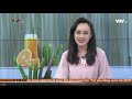 [VTV1] Việt Nam thức giấc - phóng sự về những chiếc ống hút bột gạo tự huỷ OCHA…