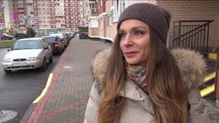 ТВ-сюжет убийство кота в Краснодаре ТВ-сюжет убийство кота в Краснодаре